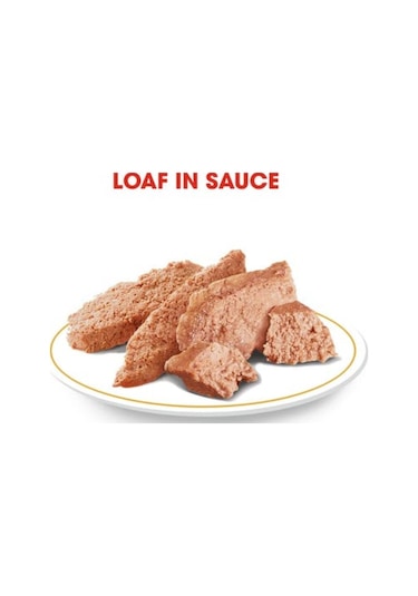 Royal Canin Adult Chihuahua Irkı Yetişkin Köpek Maması 12 x 85 G