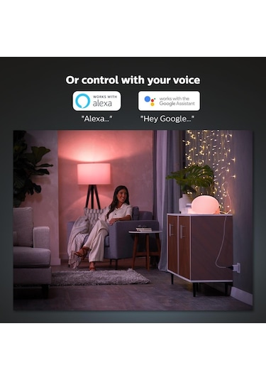Philips Hue Akıllı Priz