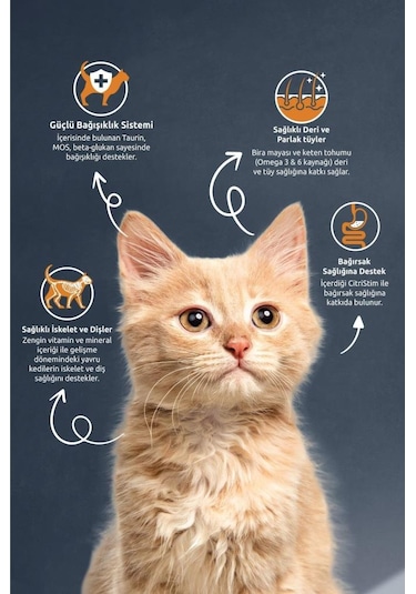 Reflex Kitten Tavuklu Ve Pirinçli Yavru Kedi Maması 2 Kg X 5 Adet