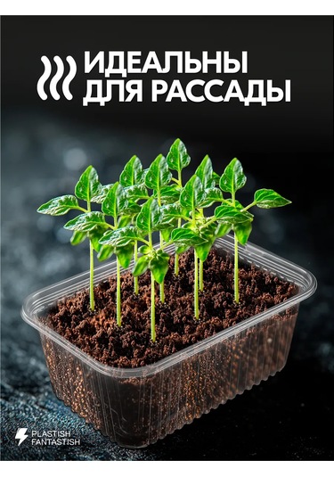 Plastish Fantastish Tek Kullanımlık Kapaklı Saklama Kapları 1000 Ml 30 Adet 126039990 30