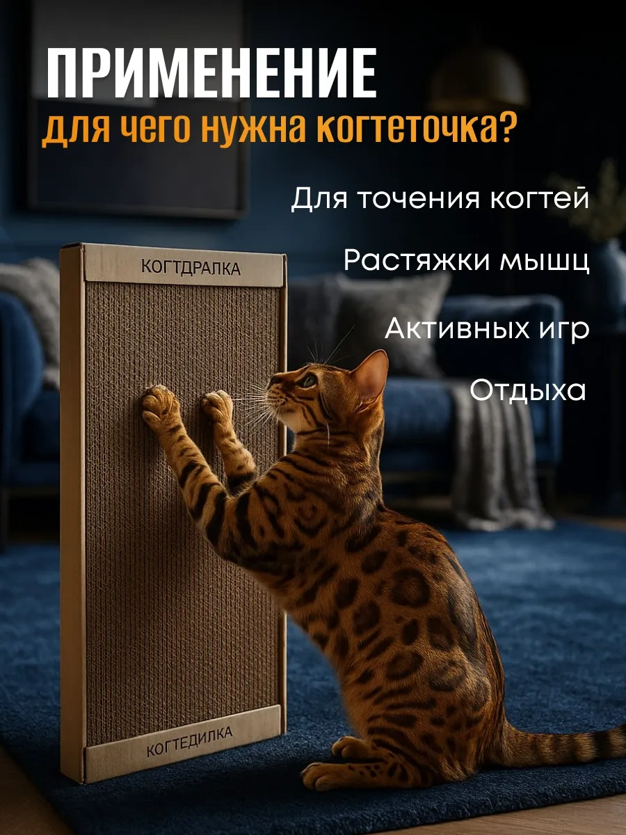 Kogtedralka Karton Tırmalama Tahtası Kedi Ve Köpekler İçin Oyuncaklardan Biridir. 132368135
