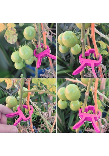 Bitki Bağlama Destek Mandalı Pembe 5 Adet
