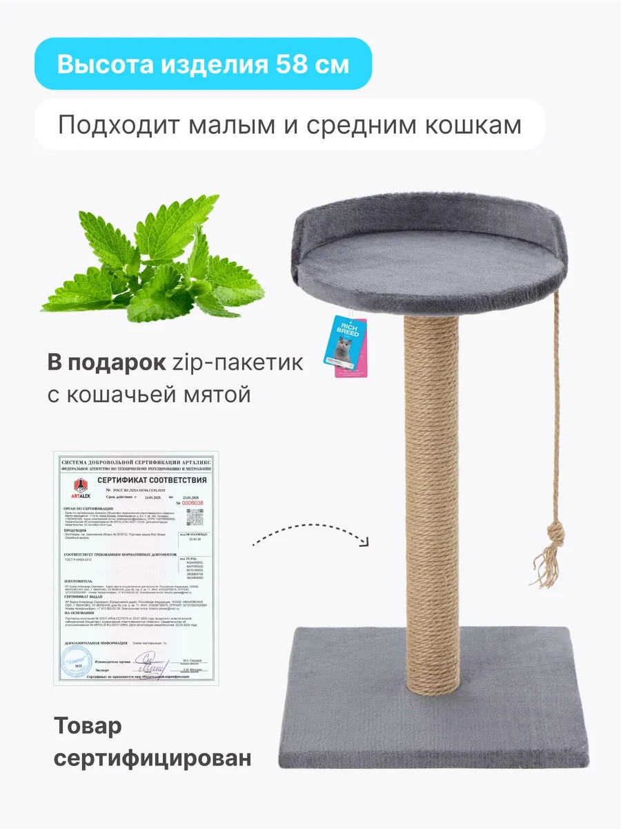 Rıch Breed Kedi Tırmalama Direği Masası Zeminli Dinlenme Yatağı 74629154