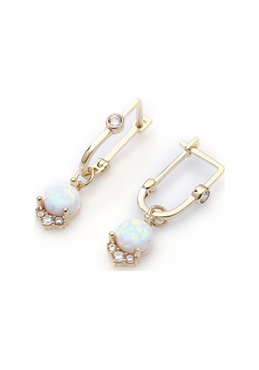 Taşlı Sallantılı Altın Küpe Kp0009 N11.18122