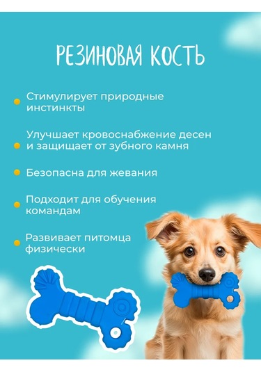 Great Bro Küçük Köpekler Ve Yavru Köpekler İçin Oyuncak Seti 391563940