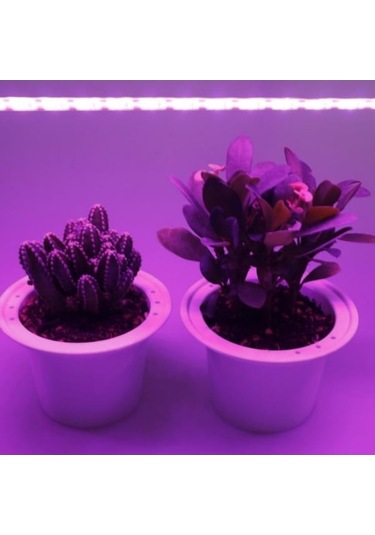 Pazly Yetiştirme Usb Tohumları Geniş Spektrumlu Şerit Sera Phyto Led Lamba İç Dc Çiçek Çadırı Bitki 5v 3m 2m 1m Qc 5m Waterproof