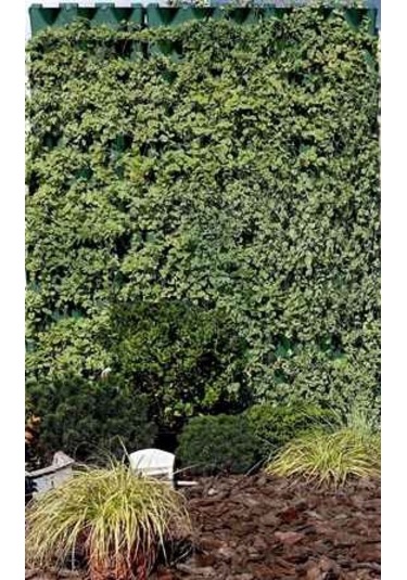 Dikey Bahçe Modülü Yeşil