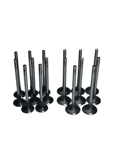 Chevrolet Epica 2.0 Dizel Motor C 100 Subap Takımı İoto Marka 11602-12601