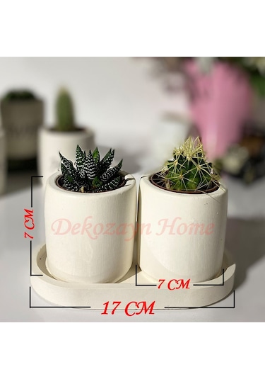 Tabaklı Dalmaçya Baskılı Mini Saksı Seti Hediyelik Dekoratif