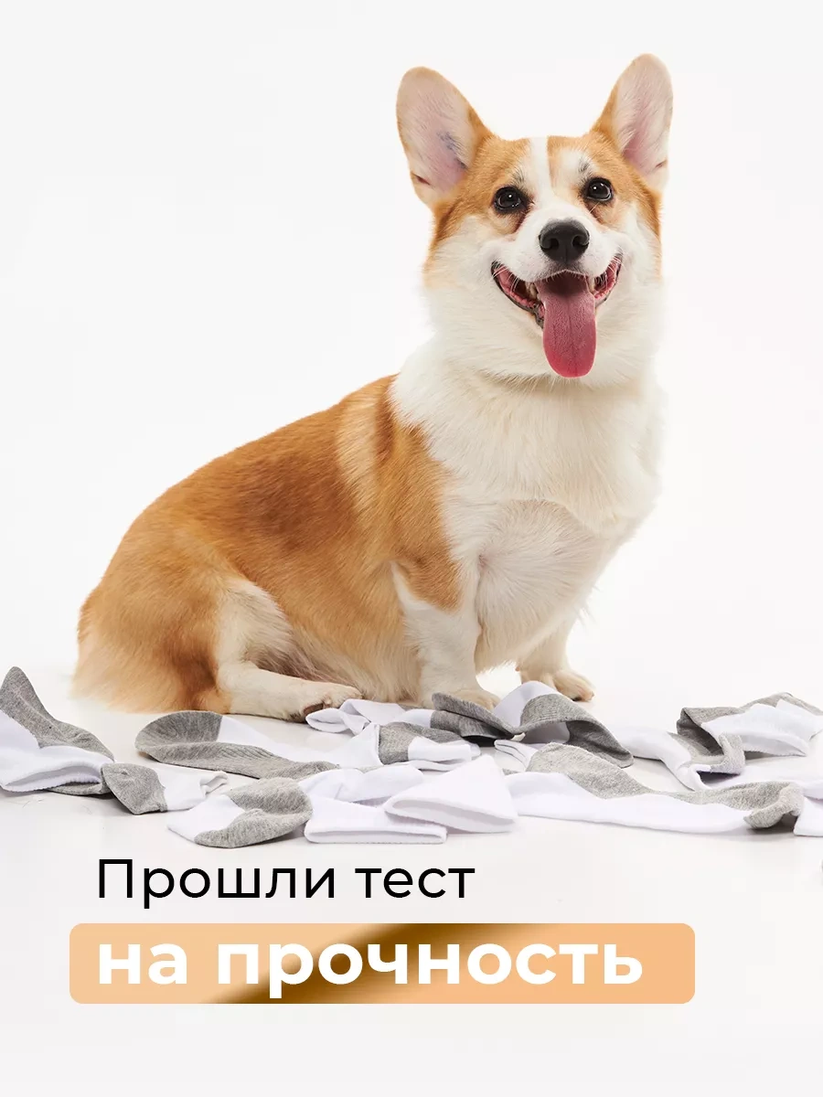 Ozal Socks Çorap Seti Kısa 10 Çift File 212408005 Beyaz