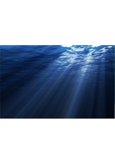 Kanki Pet KP7045007 Akvaryum Arka Fon Yapıştırma 70 CM
