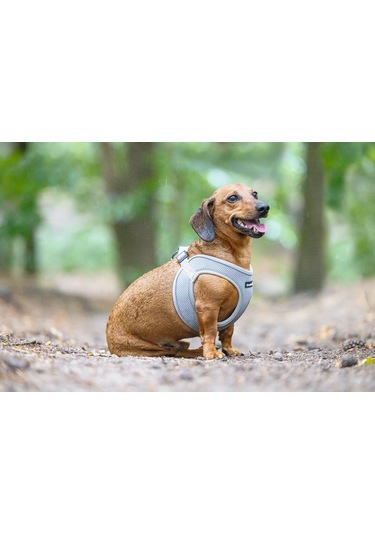 Beeztees Köpek Göğüs Tasması, Neopren, Gri, Xs, 30-35cm Çok Renkli