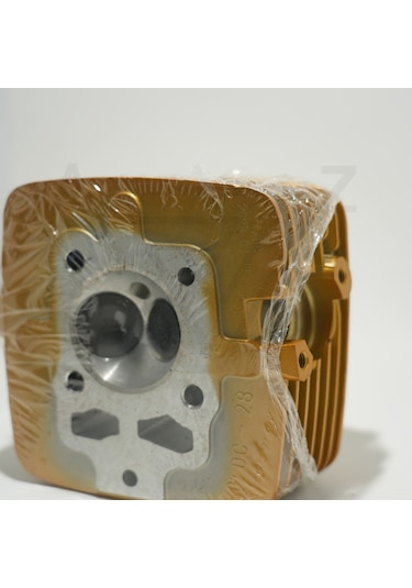 Cg 200 Üst Kapak Gold Çita 001