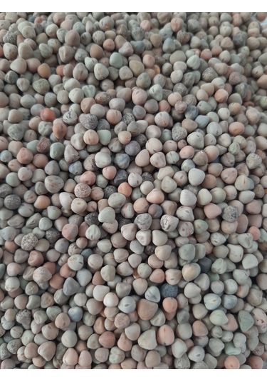 Mh Burçak Kuş Yemi 3 KG