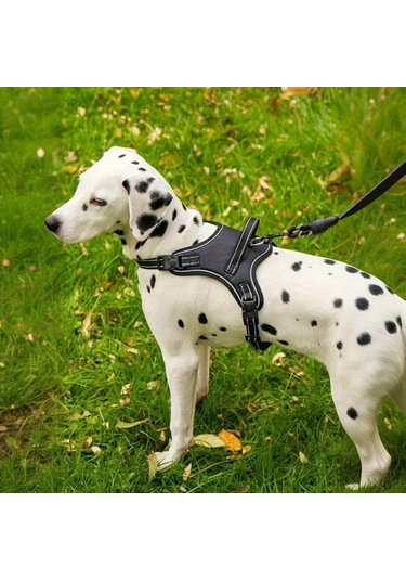 Maxaccess Yumuşak Pedli, Burkulmaya Dayanıklı, Ayarlanabilir Reflektif Köyeği Ysk L Sarı Desen