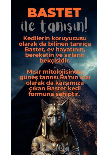 Petjoo 1.Bastet Gri-Turuncu Qr'lı Kedi Künyesi