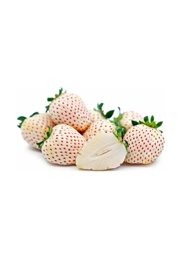 Beyaz Çilek Açık Kök  50 adet