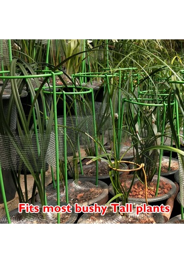 Tenfowee Bitki Desteği Ayağı, Orkide Ve Sukulentler İçin Yaprak Tutucu, 12 Cm Çapında S Boy, 3'lü Paket