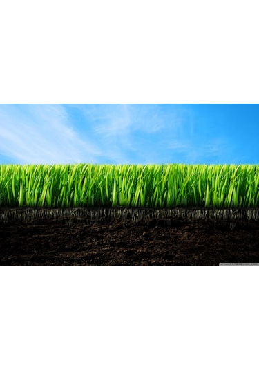 Leonardit 3 KG Doğal Toz Leonardit Organik Toprak Düzenleyici Leonardit Gübre Köklendirici Doğal Gübre