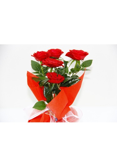Kırmızı Mini Gül - Sevgililer Günü Ve Özel Gün Hediyesi