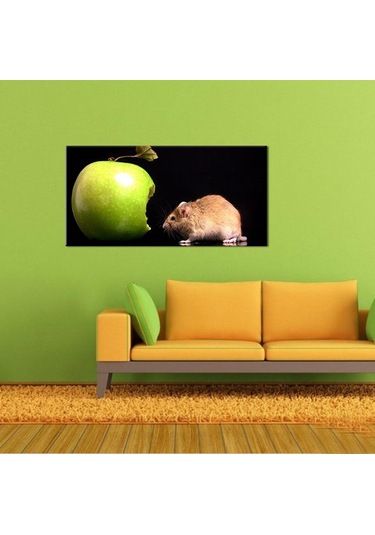 Elma Ve Hamster Kanvas Tablo