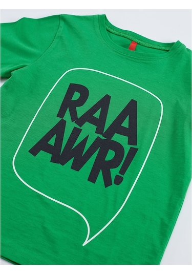 Denokids Tırtırlı Dino Erkek Çocuk Pantolon Takım Çok Renkli