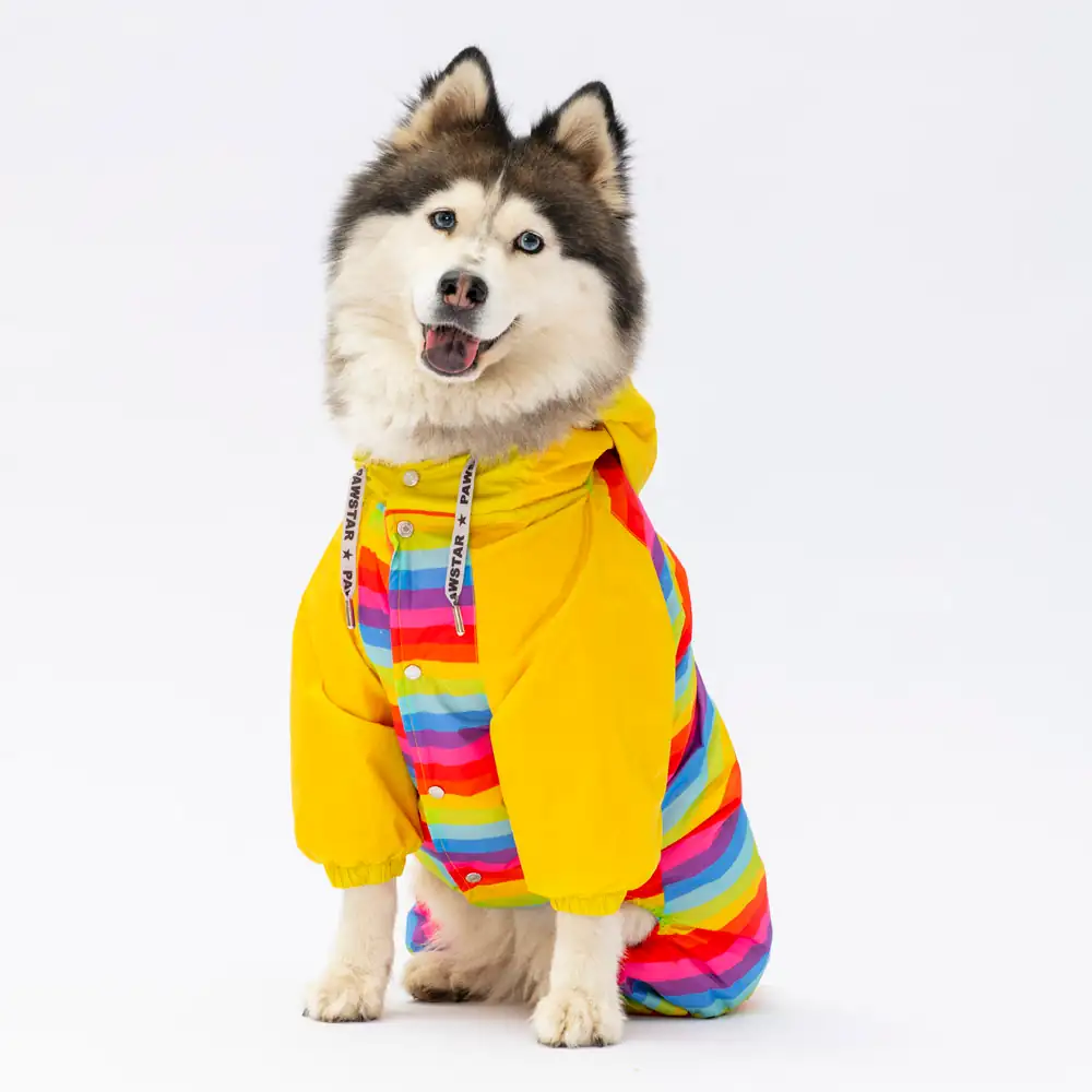 Peru Büyük Irk Köpek Tulum Yağmurluk