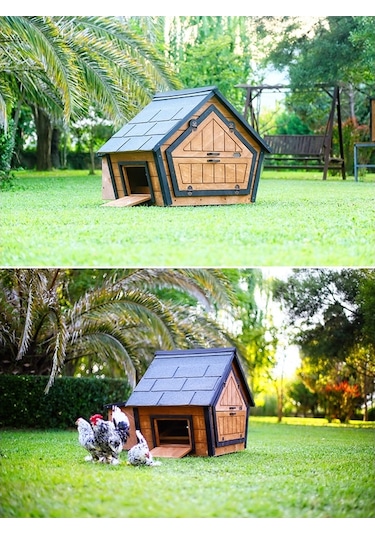 MANDU Ahşap Tavuk Kümesi (6 Tavuk) ve Güvercin Evi