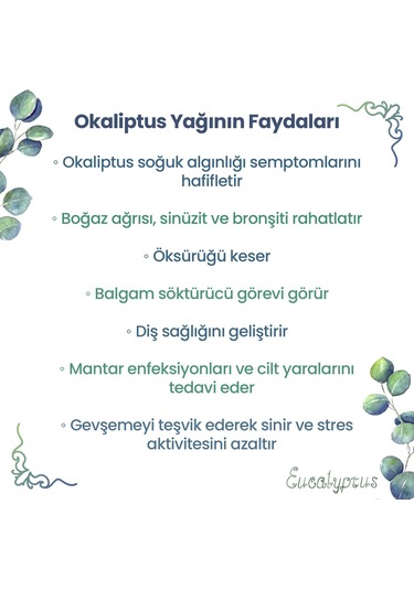 Npo Yogaroma Ferahlatıcı Aromaterapi 10ml Saf Ve Doğal Okaliptus Uçucu Yağ 10 ML