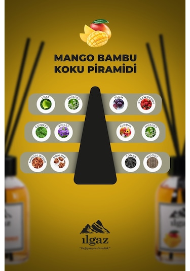 Ilgaz Reed Diffuser Oda Kokusu Bambu Çubuklu Tropikal Mango 110 ML