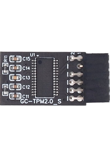 Pazly Gigabyte Uyumlu Tpm 2.0 Modülü - 12 Pin Spı/lpc Arayüzü, Güvenlik Kartı, Intel/amd Anakartlar İçin