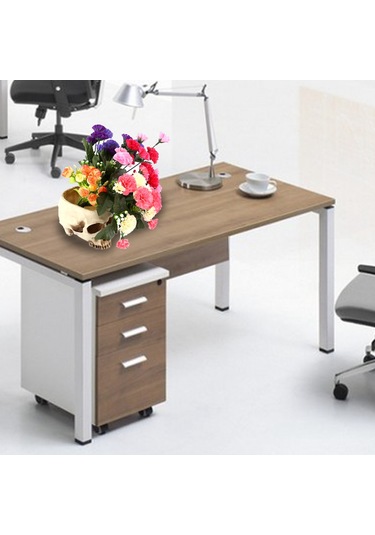 Konesam Büyük Boy Reçine Kafatası Süs Tepsisi - Bitki Yetiştirme, Atıştırmalık Depolama, Bar Ve Halloween Dekorasyonu