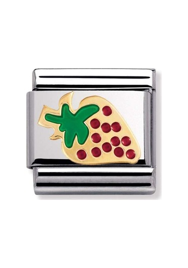 Nomınatıon 030215-11 Çelik Bileklik Çok Renkli