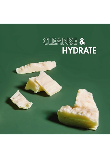 Shea Moisture Men Shea Ve Mafura Yağlı Nemlendirici Şampuan 444ml Tüm Saç Tipleri