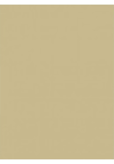 Wagner Boya Wabıesılan Silikonlu Dış Cephe Boya 2,5 Lt