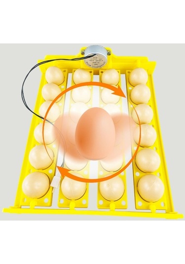 Pazly Yumurta Tepsisi Tavuk Suntek İnkübatörü Döndürme Aleti, Hv