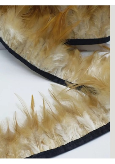 Kreativka Şerit Üzerinde Tüyler. Kurdela. 207825651