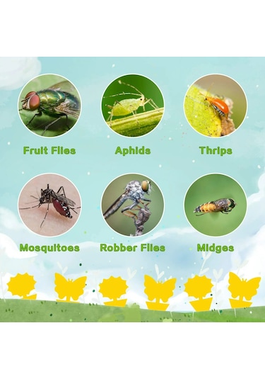 Singree 20'li Yapışkan Böcek Tuzağı - Uv Dayanıklı, Kokusuz, İç/dış Mekan Bitkileri İçin