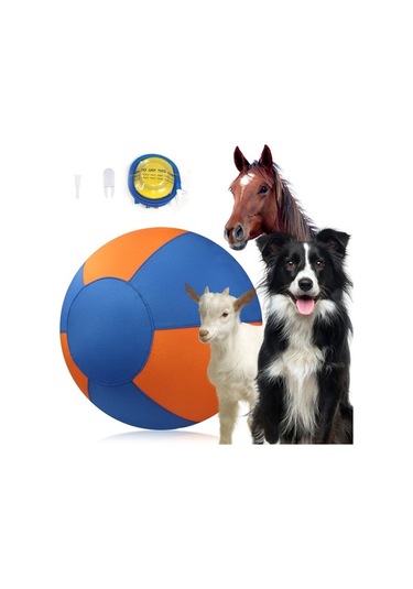 Dm Evcil Hayvan Köpek Oyuncak Çiğnenebilir Şişme Eğitim Topu - Eğlenceli Ve Dayanıklı