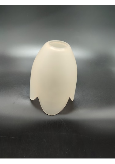 Avize Camı.somon Renkte. Mum Ampule Göre E.14 Açık Somon