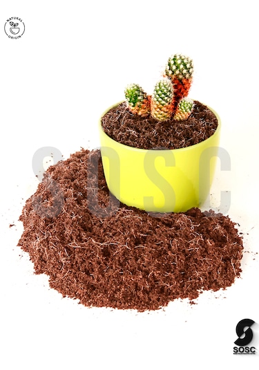 Cocopeat Hindistan Cevizi Torfu 5 Lt