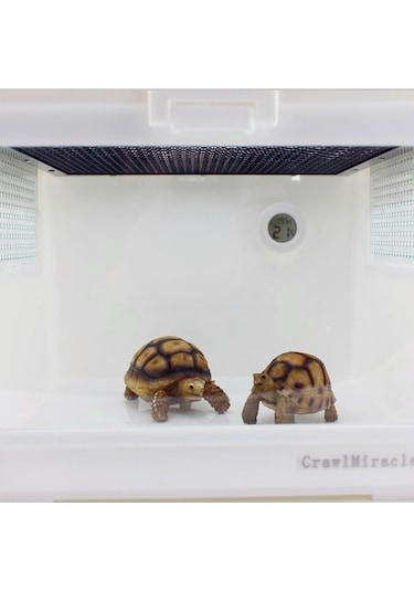 Dijital Yuvarlak Şekilli Sürüngen Kutusu Santigrat Termometre Ve Ekranlı Higrometre Beyaz