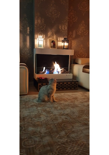 Blueflame Wallfıre 90 Bacasız Şömine