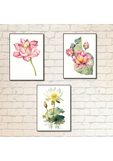 Suluboya Lotus Çiçeği 3'lü Japon Çiçek Çerçevesiz Poster 50 X 70