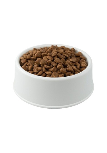 Puppy Medium&large Kuzu Etli Köpek Maması Açık