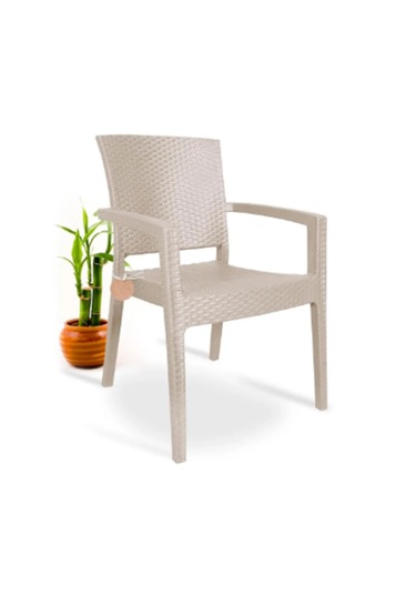 2 Adet Rattan Victor Kollu Sandalye Koltu Sandalye Koltuk 2'li S