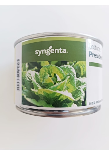 Presidential Yedikule Marul Tohumu 1 Kutux5000 Adet Kaplı Tohum