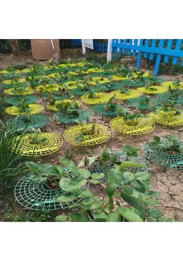 Yifomall "pratik Çilek Desteği - Topraktan Koruma, Kolay Kurulum, Dayanıklı Pe Malzeme"