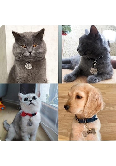 Hifa Diamond Köpek Künye Tasma Paslanmaz Çelik Çok Renkli