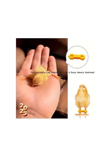 Willowhaven 7 Adet Civciv Bacak Desteği, Yeni Doğan Kuşlar İçin